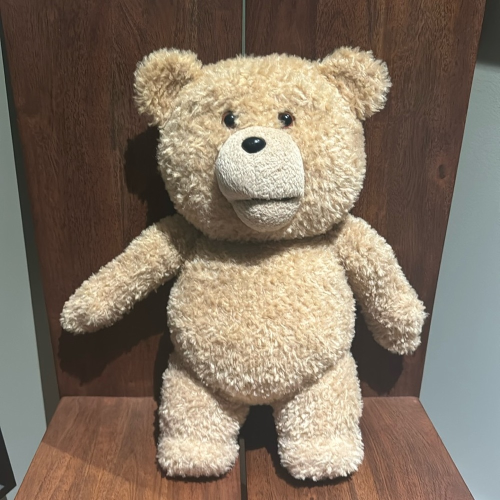 Talking Ted, R rated 5 phrases Stuffed Bear 16”